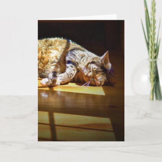 Jours lents, carte (Devant)