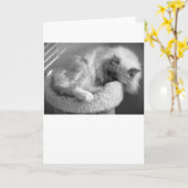 Jours lents, carte (Fleur jaune)