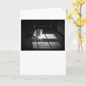 Jours lents, carte (Fleur jaune)