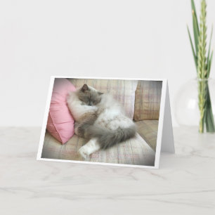 Jours lents, carte