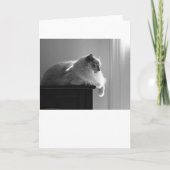 Jours lents, carte (Devant)