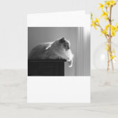 Jours lents, carte (Fleur jaune)