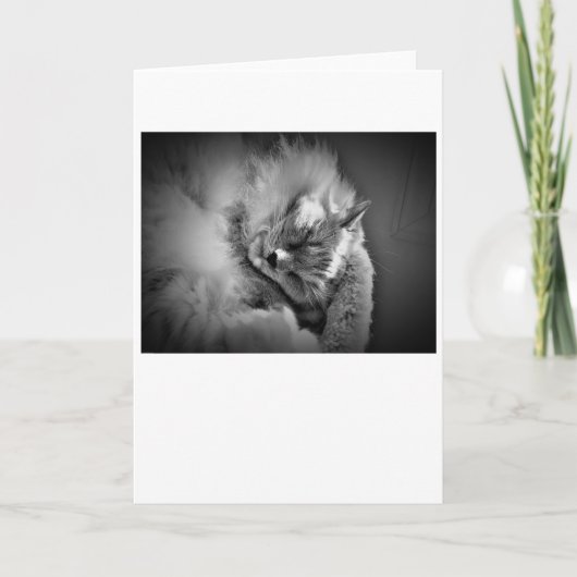 Jours lents, carte (Devant)