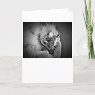 Jours lents, carte