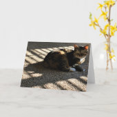 Jours lents, carte (Fleur jaune)