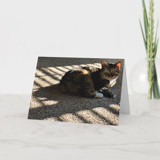 Jours lents, carte (Devant)