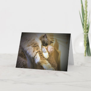 Jours lents, carte