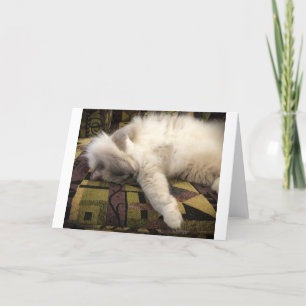 Jours lents, carte