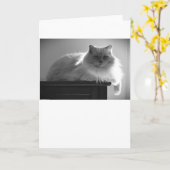 Jours lents, carte (Fleur jaune)