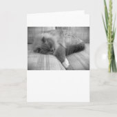 Jours lents, carte (Devant)