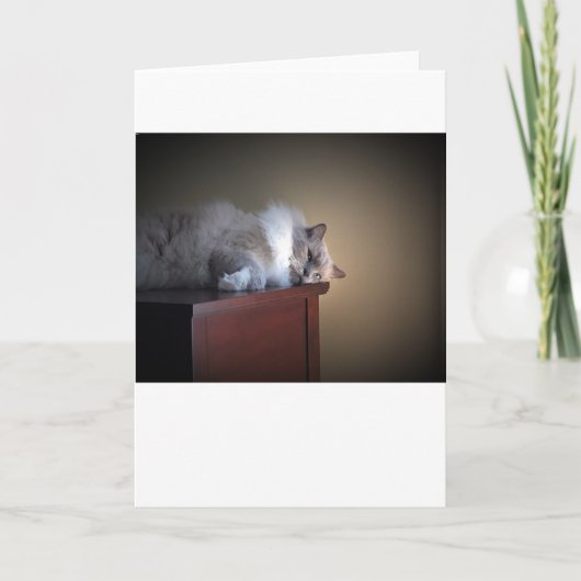 Jours lents, carte (Devant)