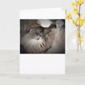 Jours lents, carte (Fleur jaune)