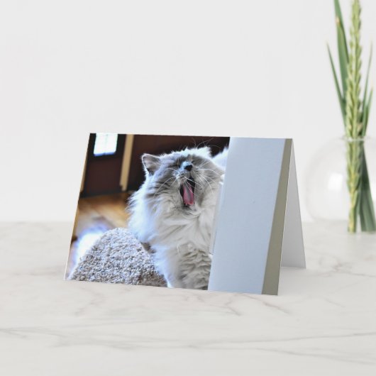 Jours lents, carte (Devant)