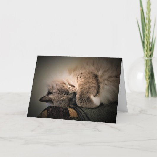 Jours lents, carte (Devant)