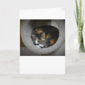 Jours lents, carte (Devant)