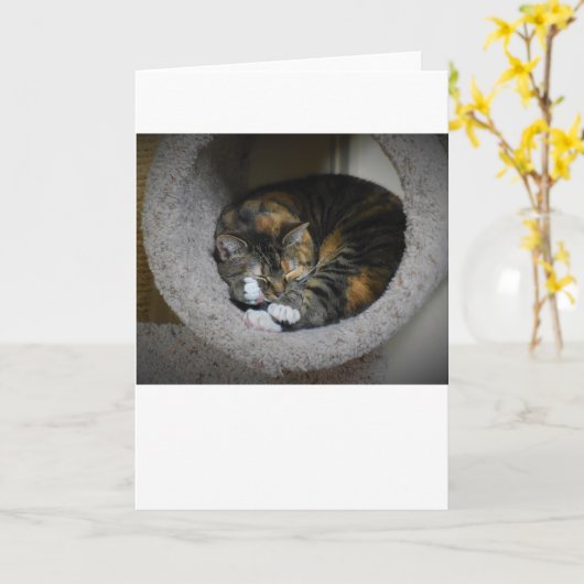 Jours lents, carte (Fleur jaune)