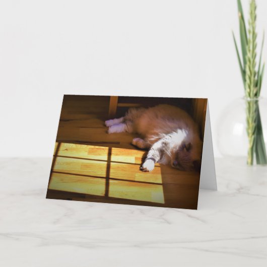 Jours lents, carte (Devant)