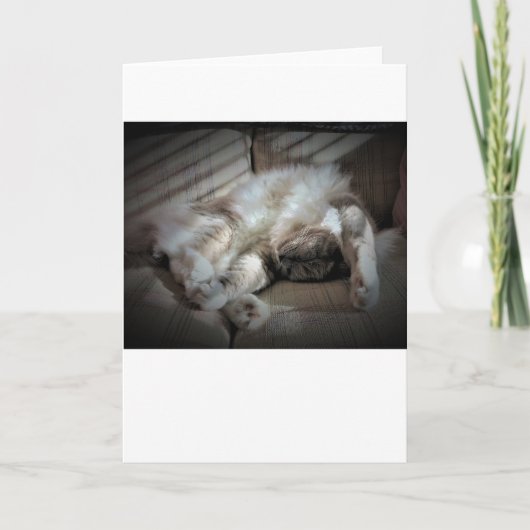 Jours lents, carte (Devant)