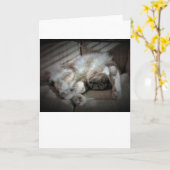 Jours lents, carte (Fleur jaune)