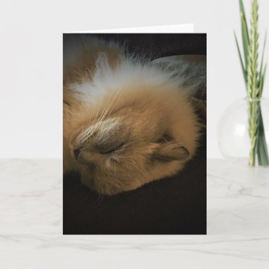 Jours lents, carte (Devant)