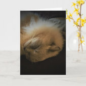 Jours lents, carte (Fleur jaune)