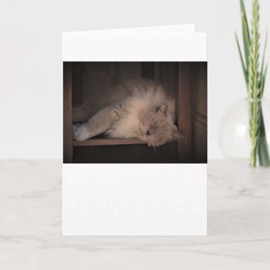 Jours lents, carte (Devant)