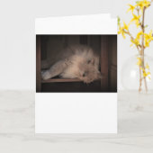 Jours lents, carte (Fleur jaune)
