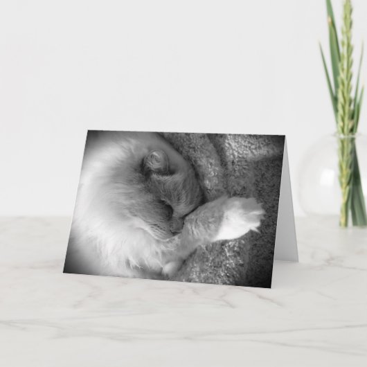 Jours lents, carte (Devant)