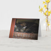 Jours lents, carte (Fleur jaune)