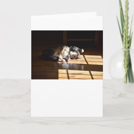 Jours lents, carte (Devant)