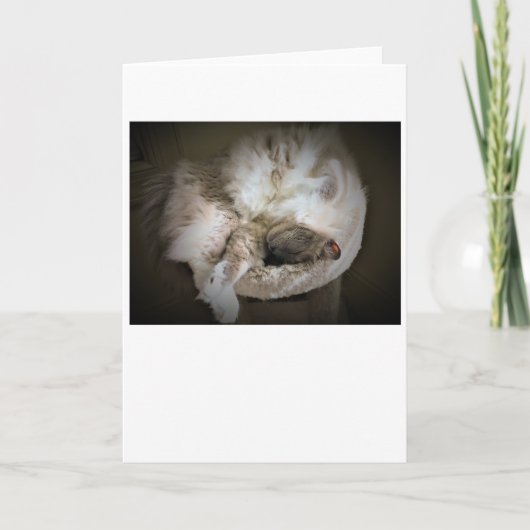Jours lents, carte (Devant)