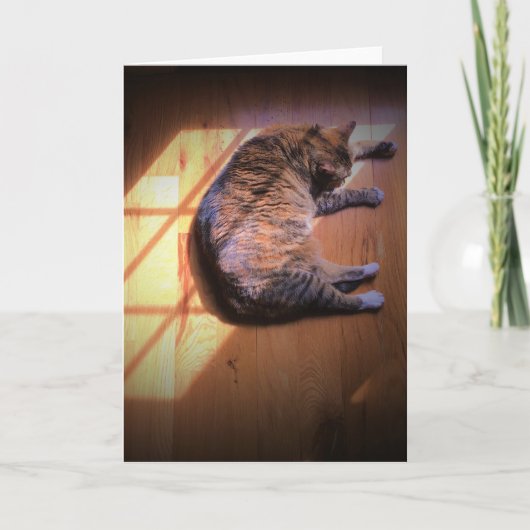 Jours lents, carte (Devant)