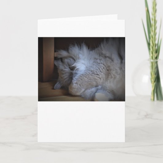 Jours lents, carte (Devant)