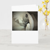 Jours lents, carte (Fleur jaune)