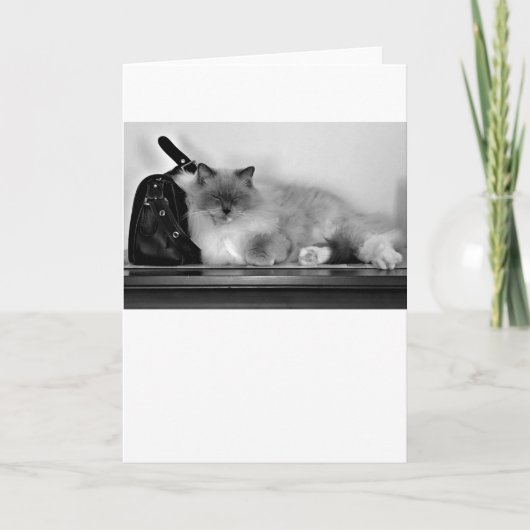 Jours lents, carte (Devant)