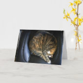 Jours lents, carte (Fleur jaune)