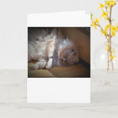 Jours lents, carte (Fleur jaune)