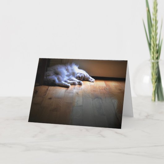 Jours lents, carte (Devant)