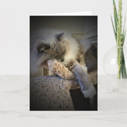 Jours lents, carte (Devant)