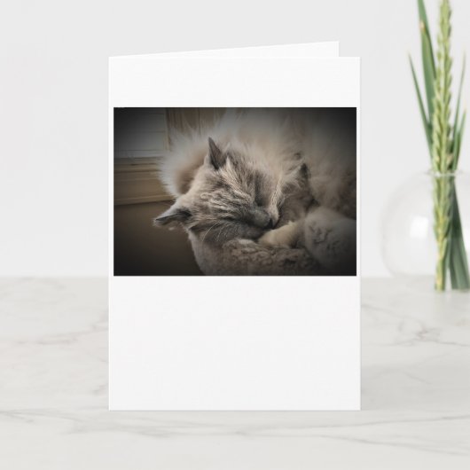 Jours lents, carte (Devant)