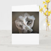 Jours lents, carte (Fleur jaune)