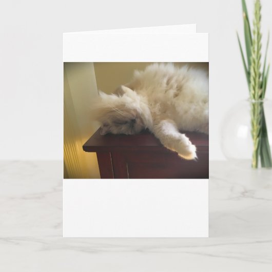 Jours lents, carte (Devant)