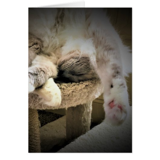 Jours lents, carte (Devant)