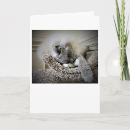 Jours lents, carte (Devant)