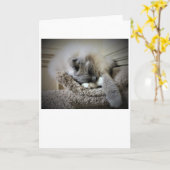 Jours lents, carte (Fleur jaune)