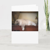 Jours lents, carte (Devant)