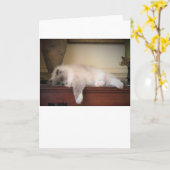 Jours lents, carte (Fleur jaune)