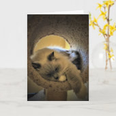 Jours lents, carte (Fleur jaune)