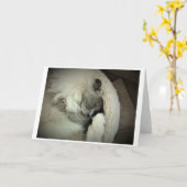 Jours lents, carte (Fleur jaune)