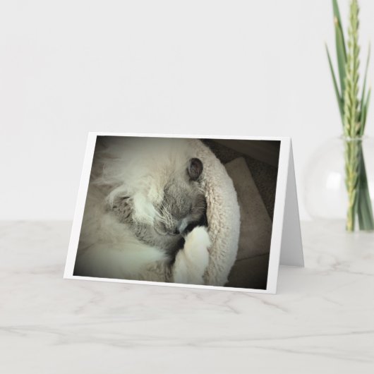 Jours lents, carte (Devant)